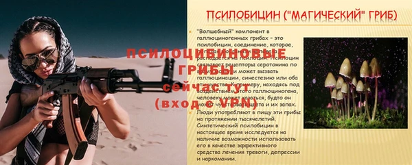 трава Медвежьегорск