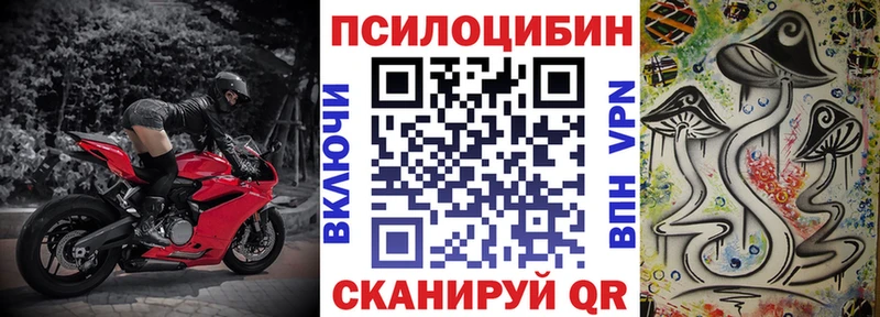 где купить наркотик  Шахты  Галлюциногенные грибы MAGIC MUSHROOMS 